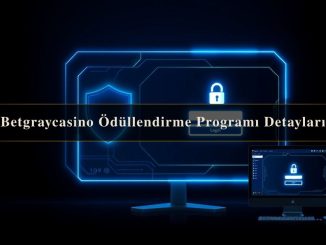 Betgraycasino Ödüllendirme